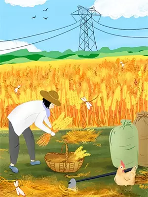 忍界直播宇智波抱摔小说