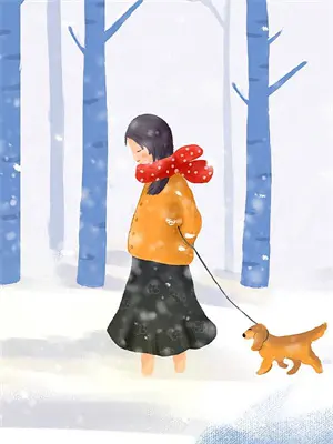 星舰计划重启